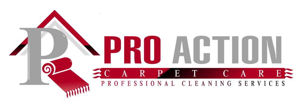 Pro Action Carpet Care Logo